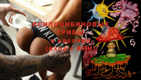 a pvp Белокуриха