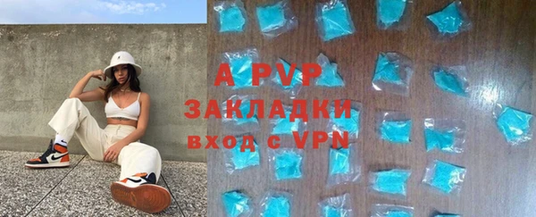 a pvp Белокуриха