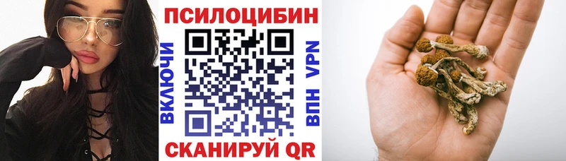 где найти   Онега  Псилоцибиновые грибы мухоморы 