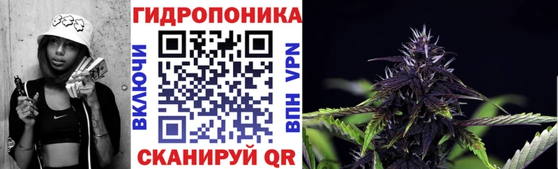 даркнет сайт Онега Шишки марихуана Ganja